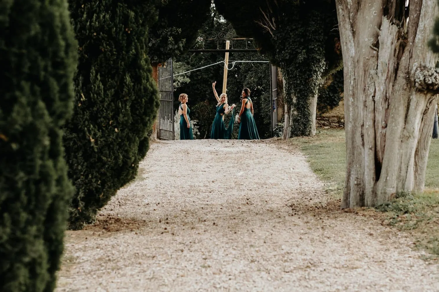 The bridesmaids at the far end of the cypress avenue