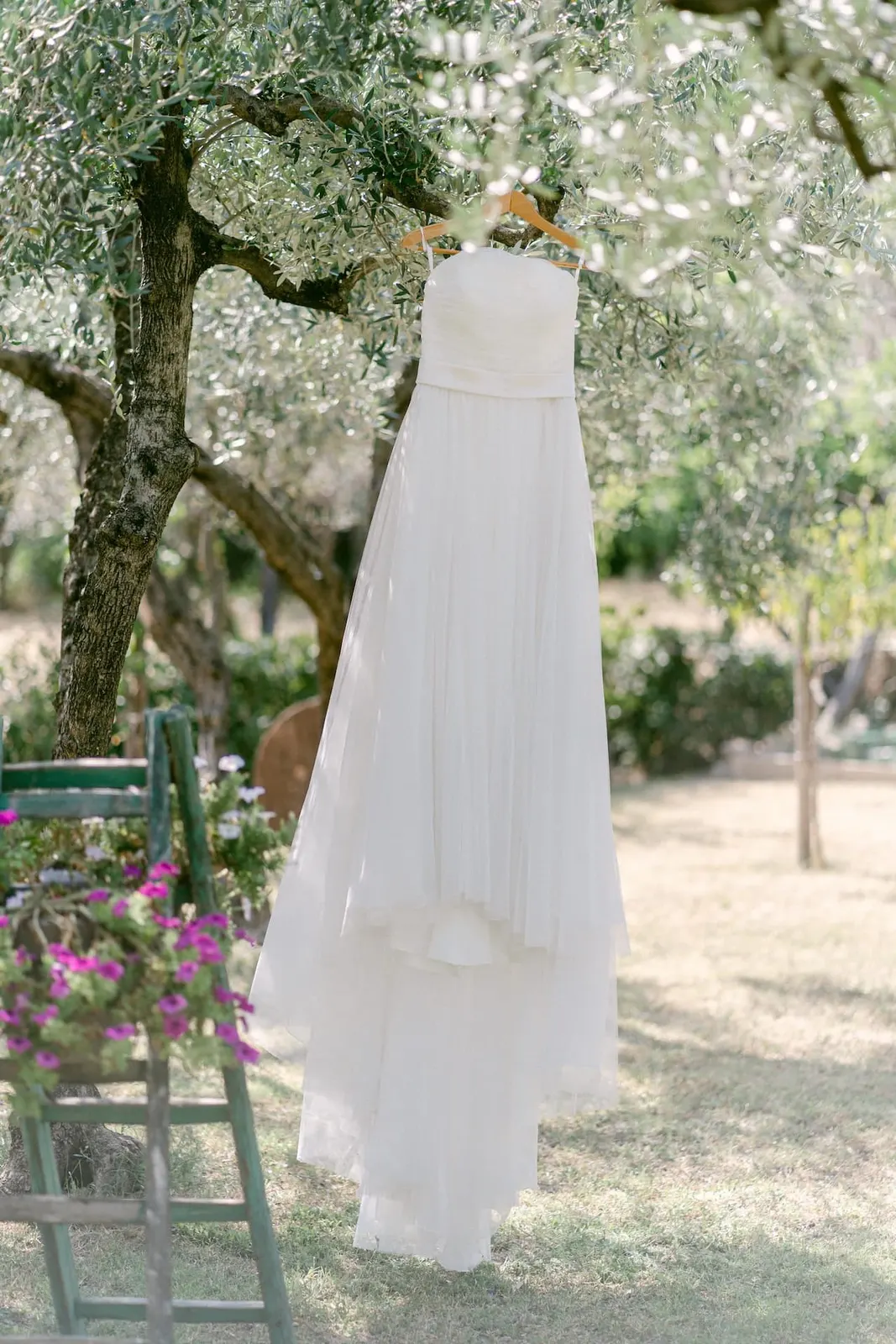 Valentina's dress hanging from an olive tree, beside a ladder with flowers