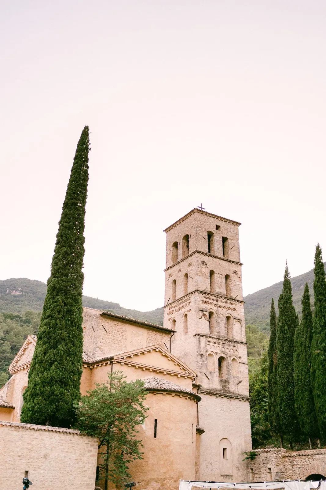 The abbey bell tower among the cypresses at sunset