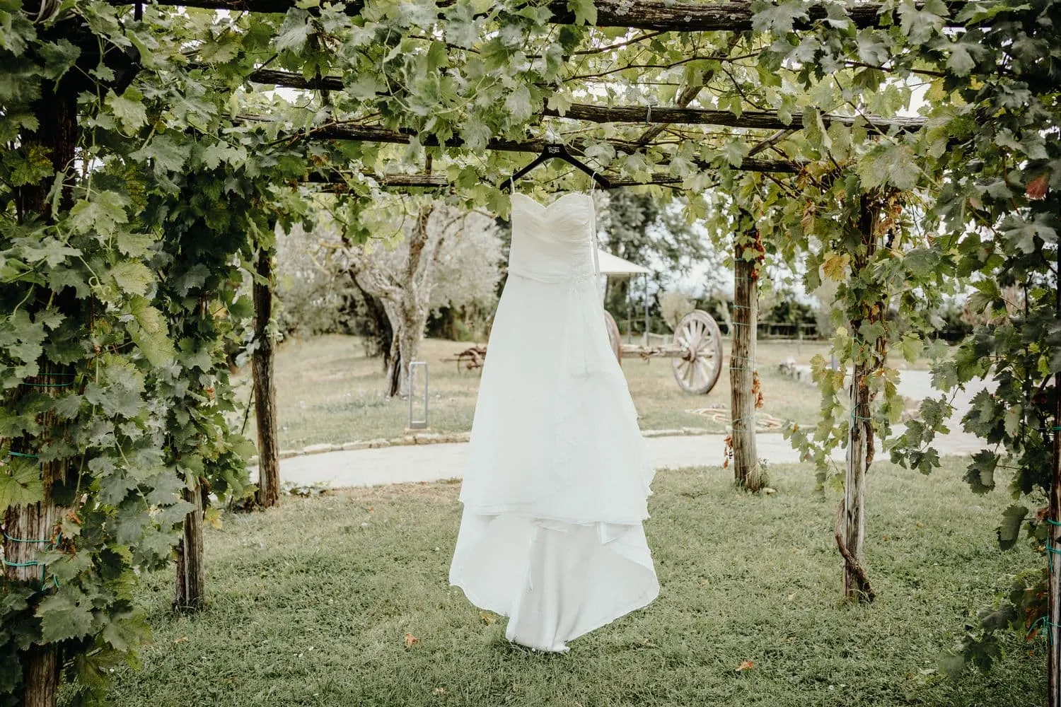 The wedding dress hanging under a vine pergola