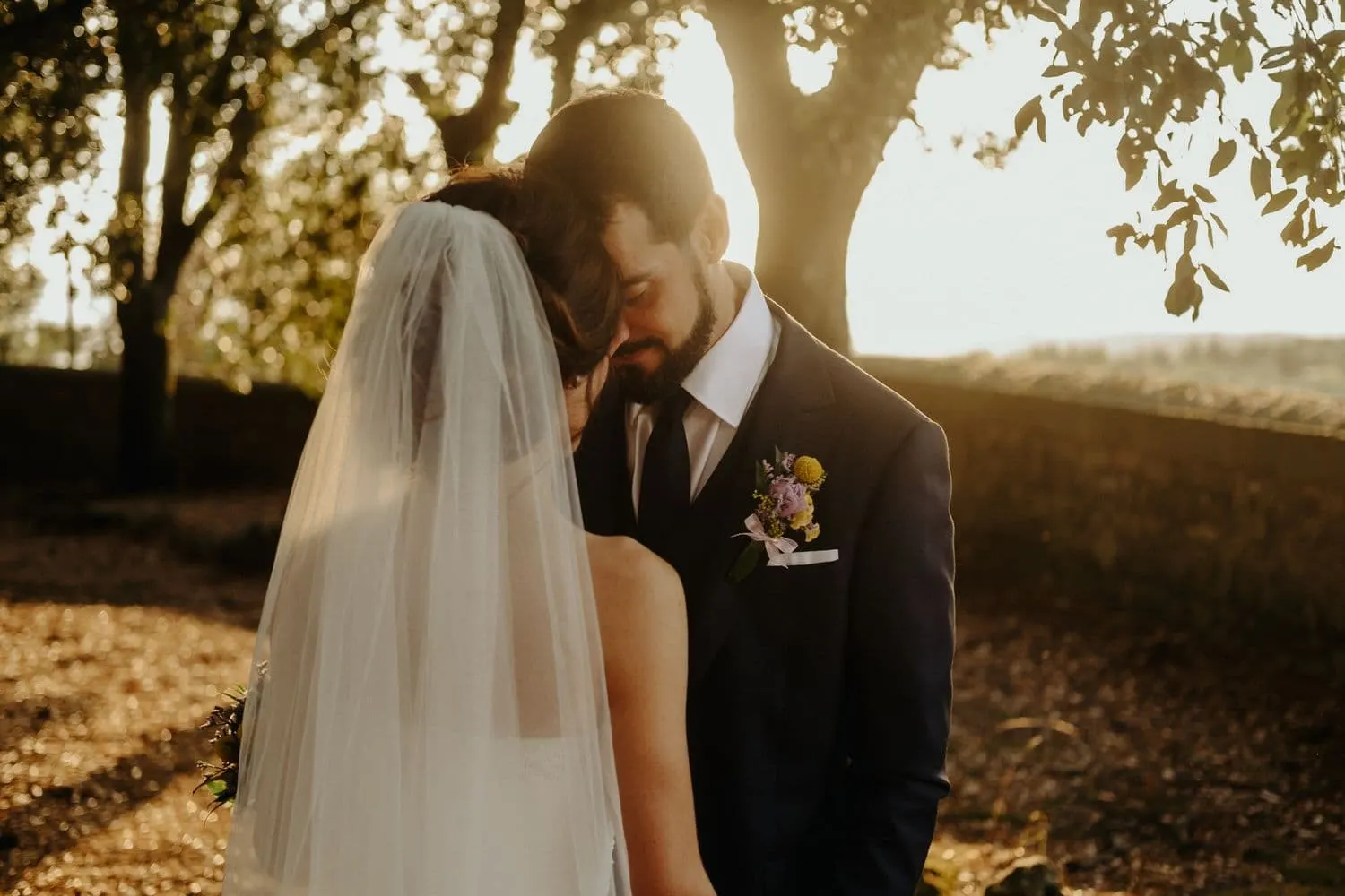 An embrace in backlight under the trees, at sunset